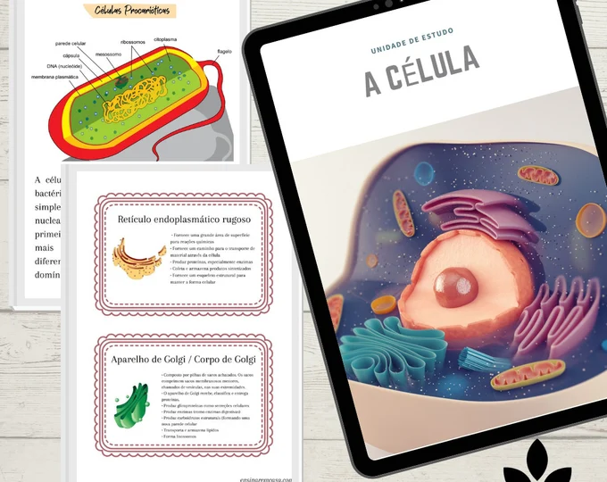Unidade de Estudo das Células